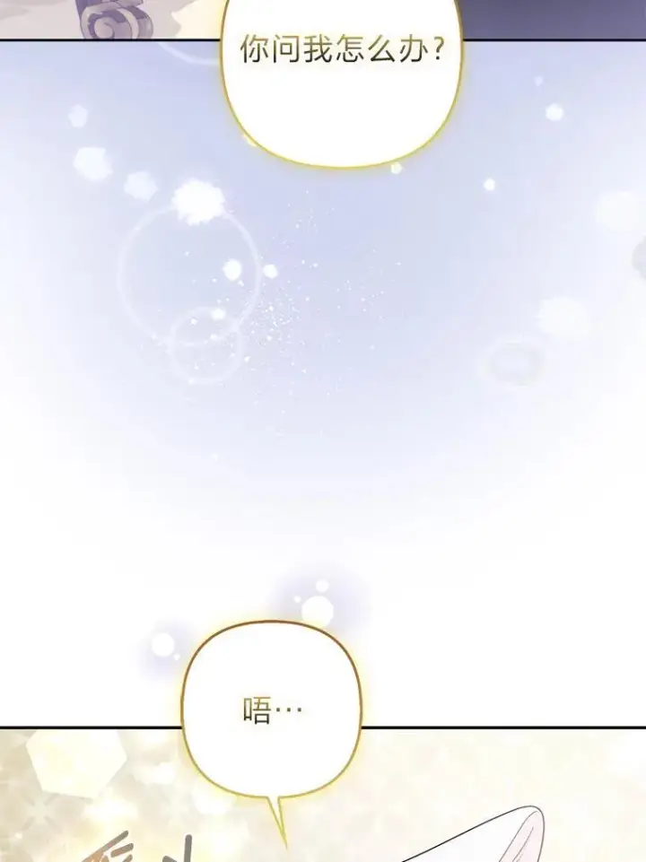 《大公家的狐狸皇女》31.魔法师会议图115