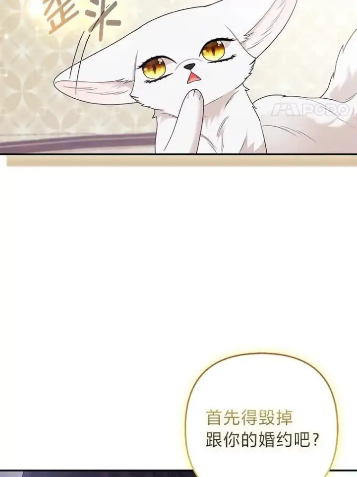 《大公家的狐狸皇女》31.魔法师会议图116