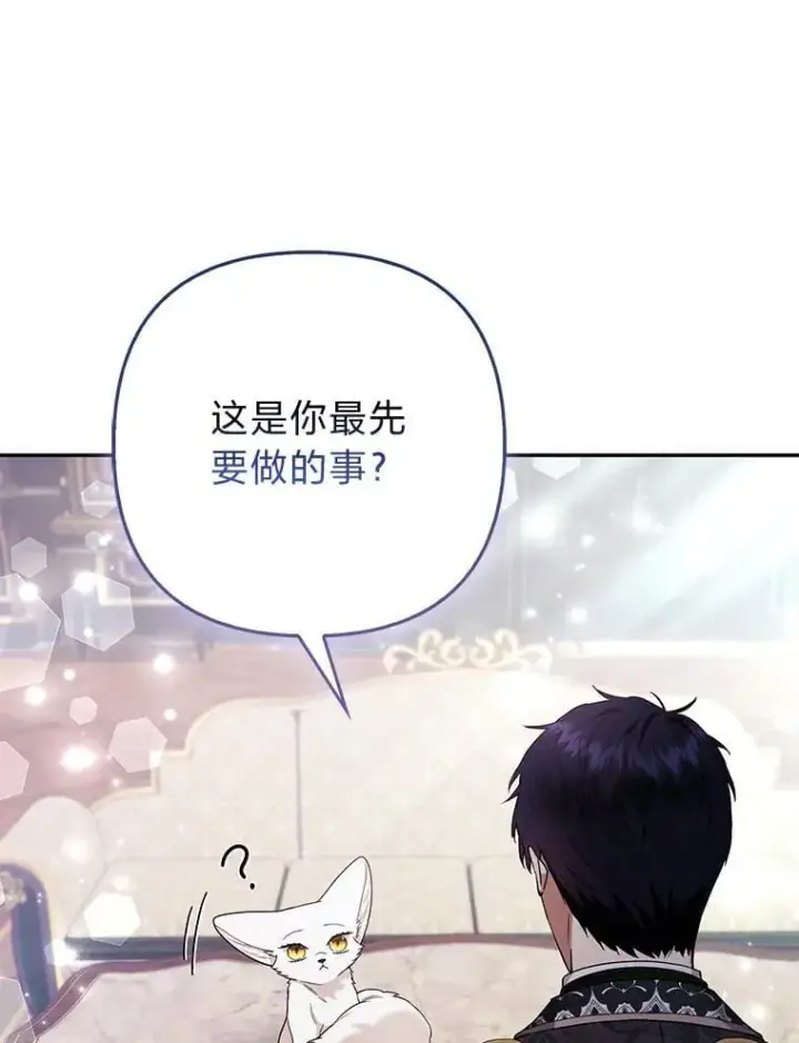 《大公家的狐狸皇女》31.魔法师会议图118