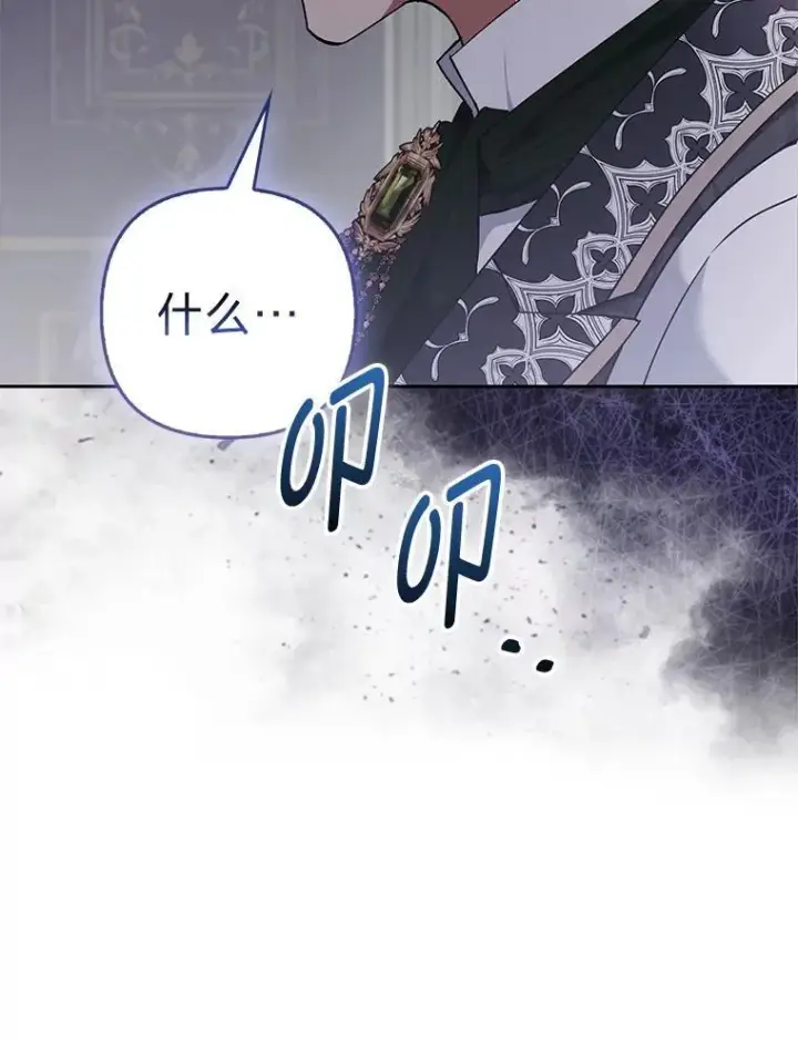 《大公家的狐狸皇女》31.魔法师会议图121