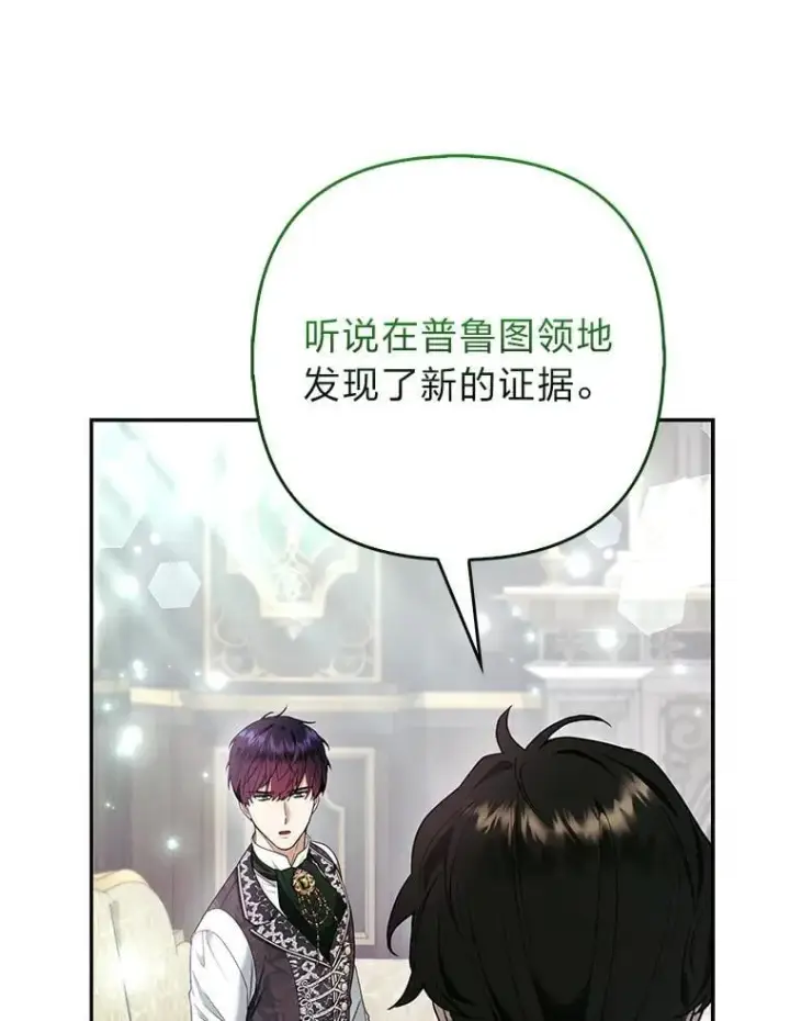 《大公家的狐狸皇女》31.魔法师会议图124