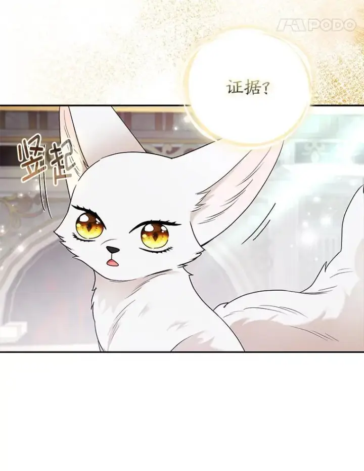 《大公家的狐狸皇女》31.魔法师会议图126