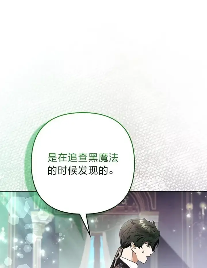 《大公家的狐狸皇女》31.魔法师会议图127