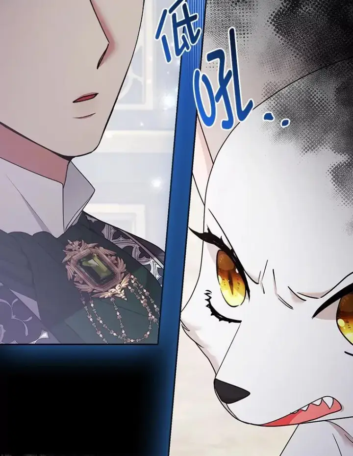 《大公家的狐狸皇女》31.魔法师会议图131