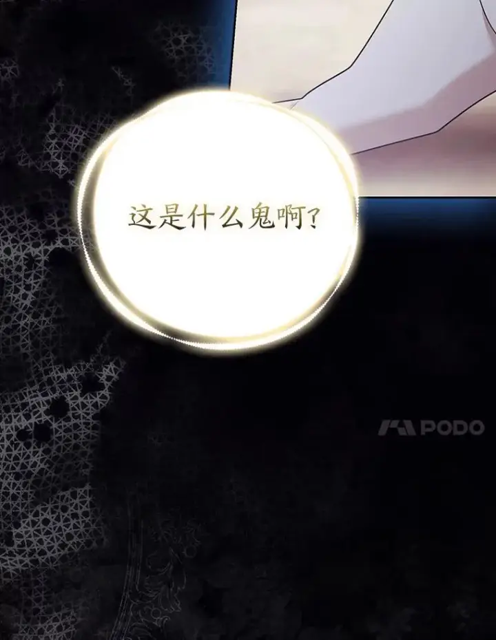 《大公家的狐狸皇女》31.魔法师会议图132