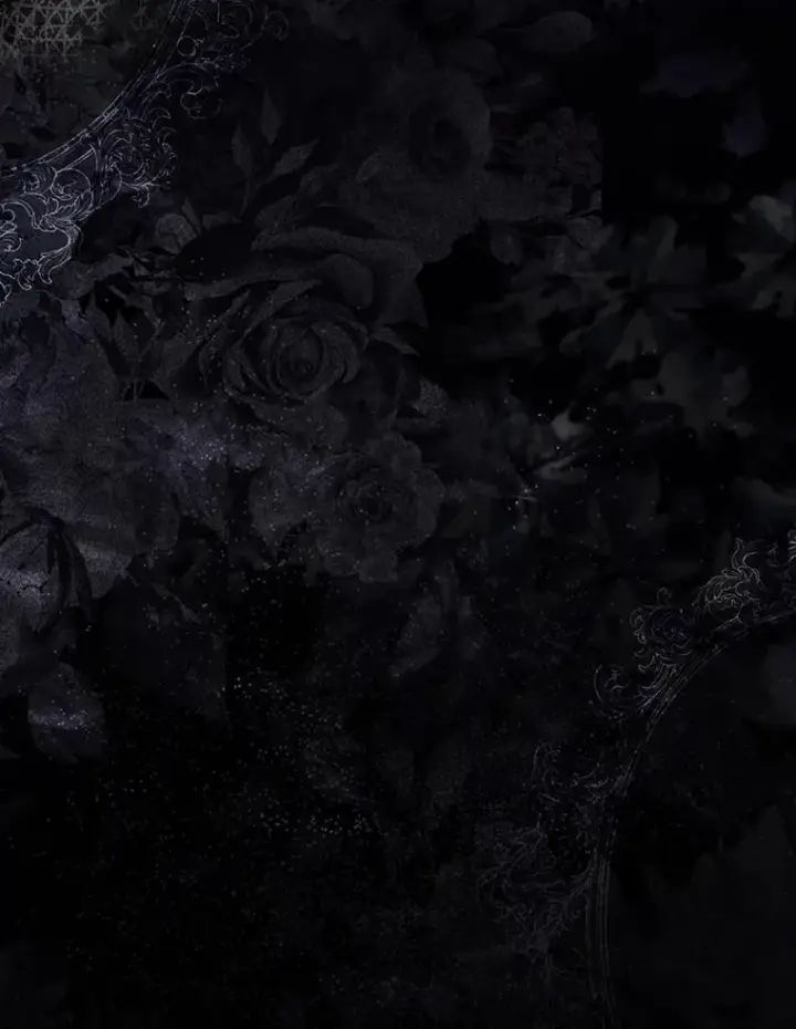 《大公家的狐狸皇女》31.魔法师会议图133
