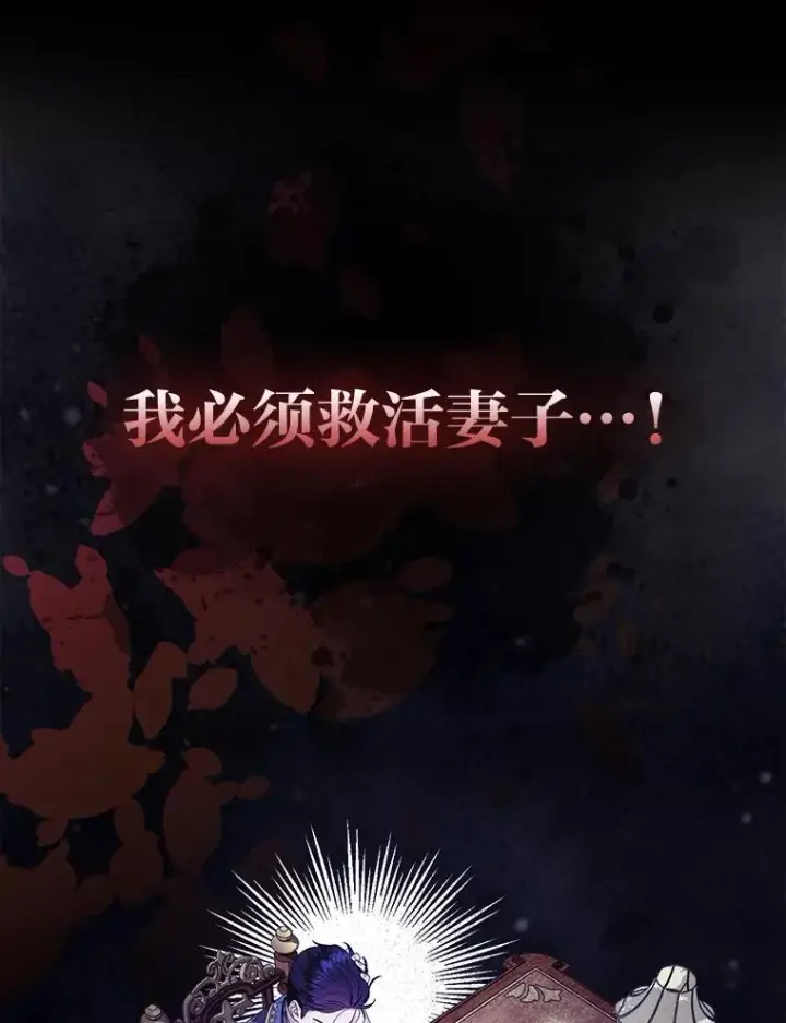 《大公家的狐狸皇女》31.魔法师会议图14