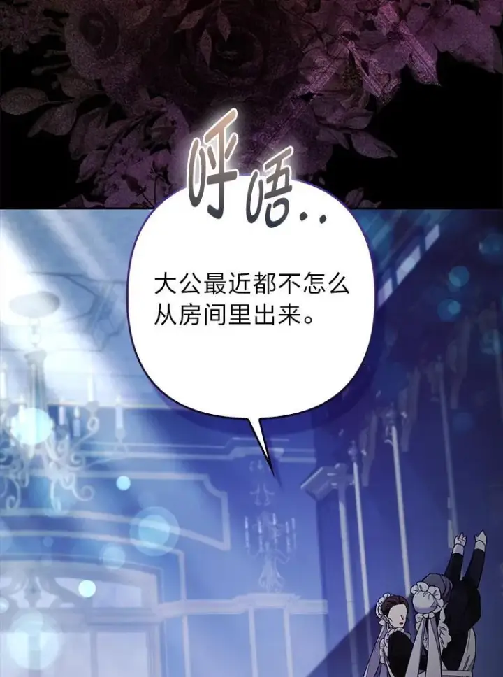 《大公家的狐狸皇女》31.魔法师会议图2
