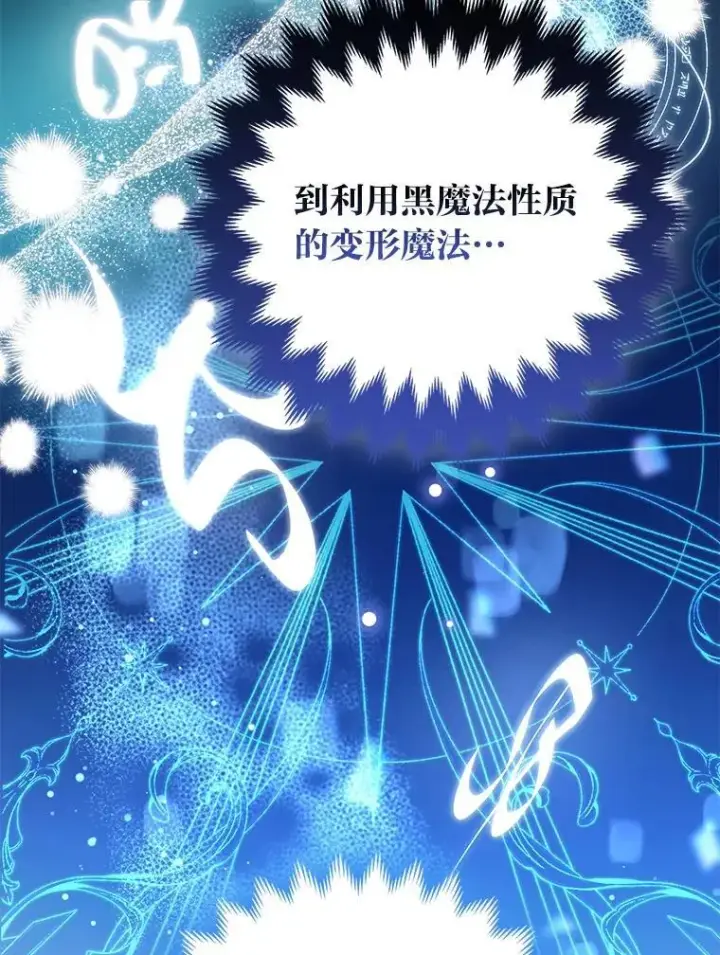 《大公家的狐狸皇女》31.魔法师会议图25