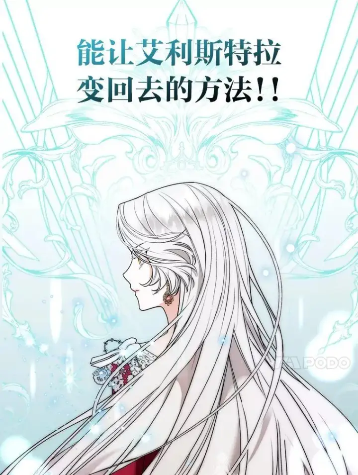 《大公家的狐狸皇女》31.魔法师会议图27