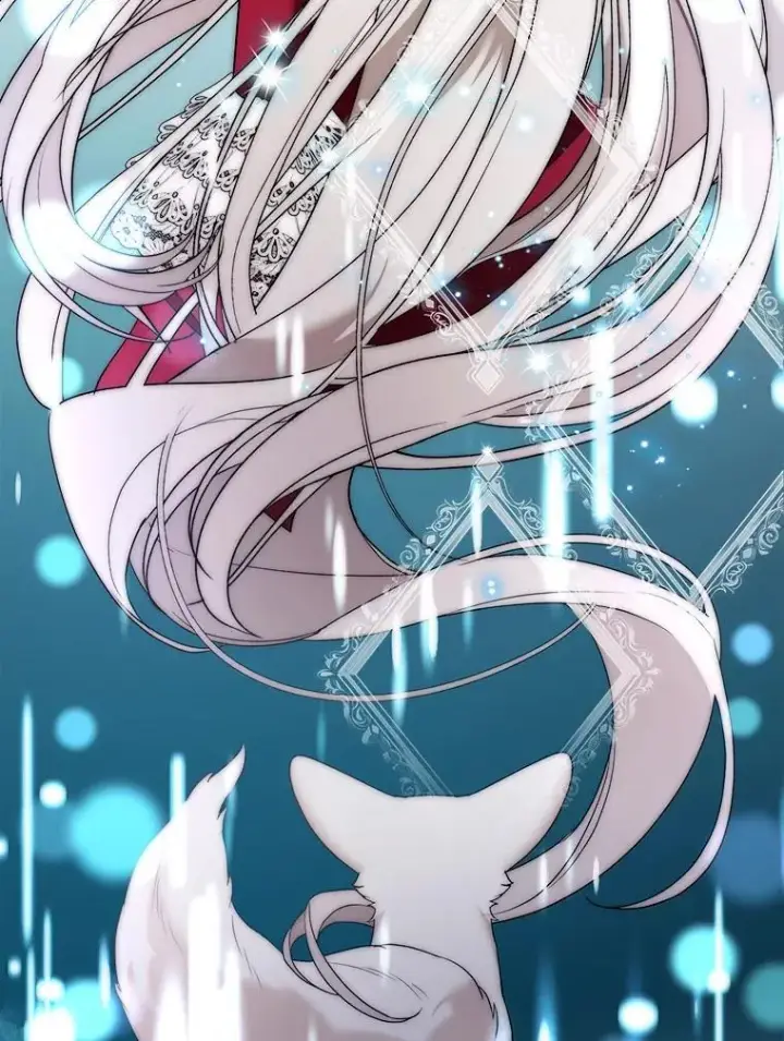 《大公家的狐狸皇女》31.魔法师会议图28