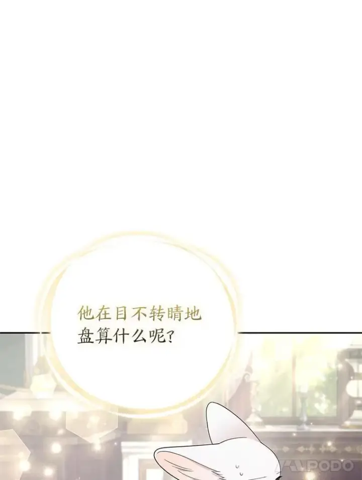 《大公家的狐狸皇女》31.魔法师会议图31