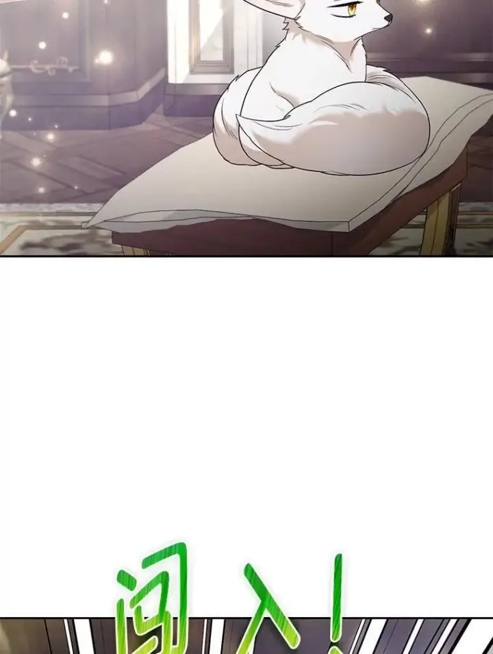 《大公家的狐狸皇女》31.魔法师会议图32