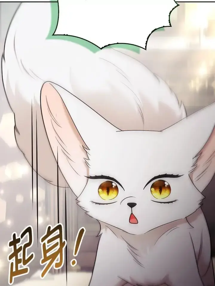 《大公家的狐狸皇女》31.魔法师会议图35