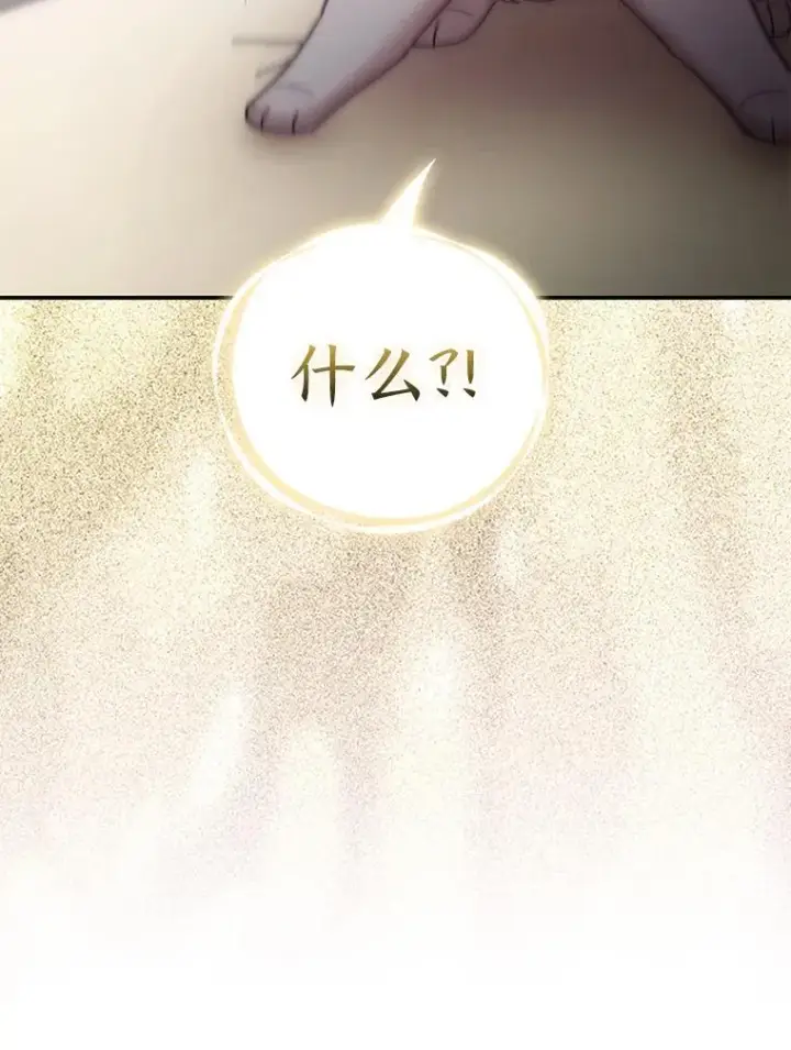 《大公家的狐狸皇女》31.魔法师会议图36