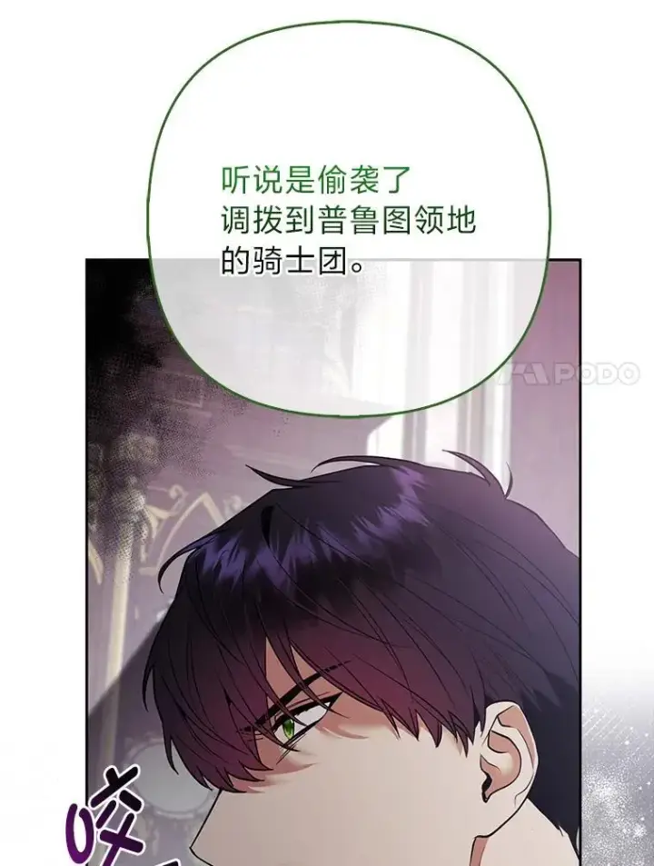 《大公家的狐狸皇女》31.魔法师会议图37