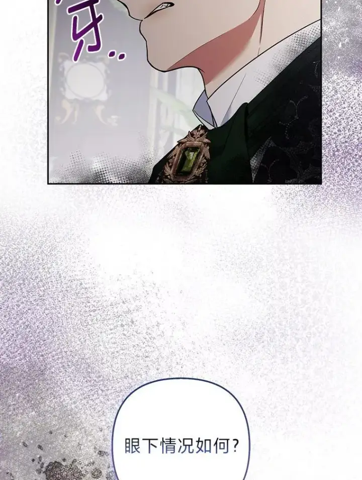 《大公家的狐狸皇女》31.魔法师会议图38
