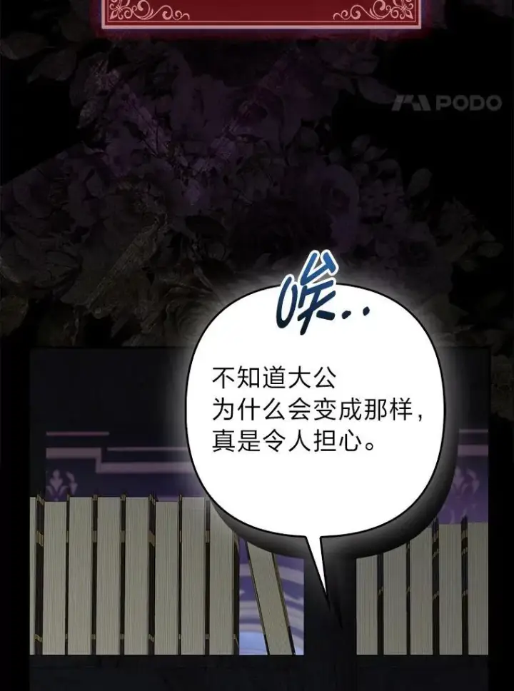 《大公家的狐狸皇女》31.魔法师会议图4