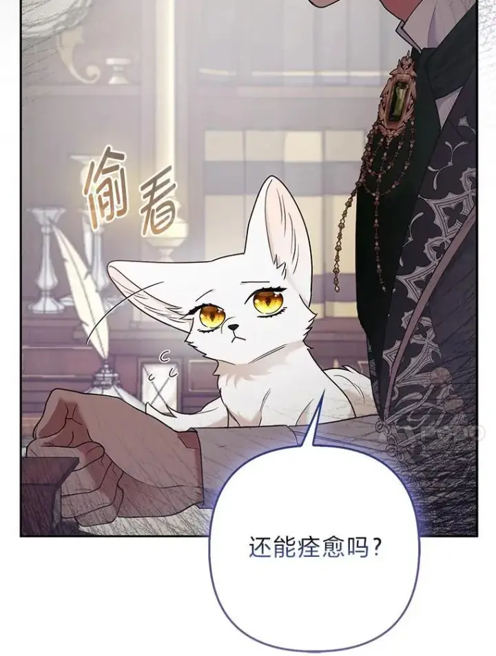 《大公家的狐狸皇女》31.魔法师会议图40