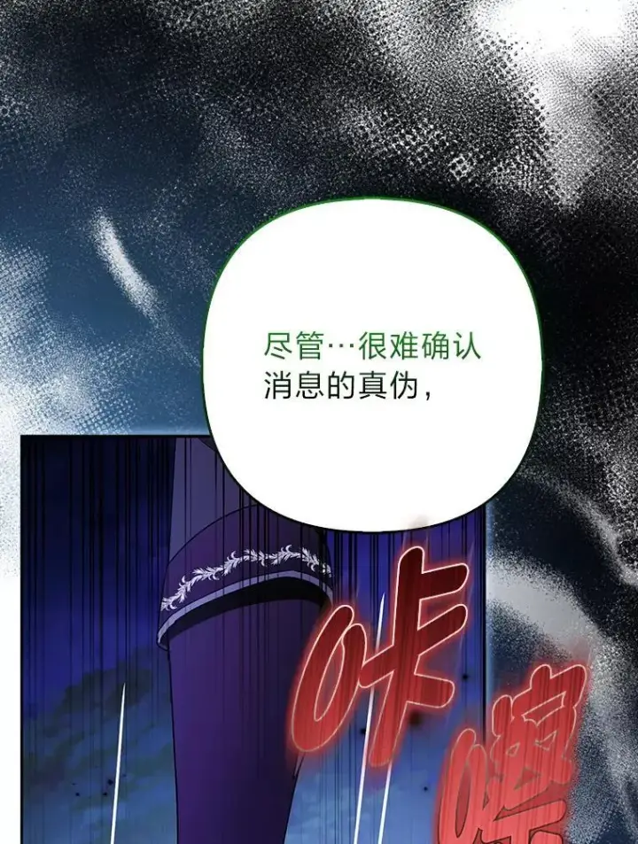 《大公家的狐狸皇女》31.魔法师会议图44
