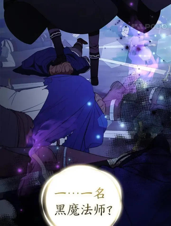 《大公家的狐狸皇女》31.魔法师会议图47