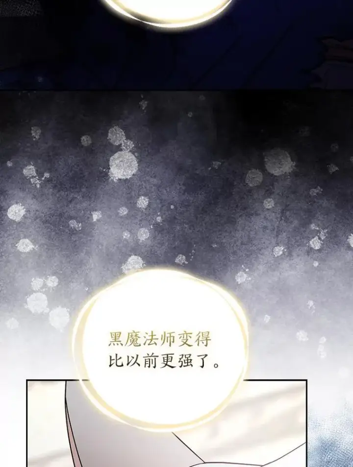 《大公家的狐狸皇女》31.魔法师会议图48