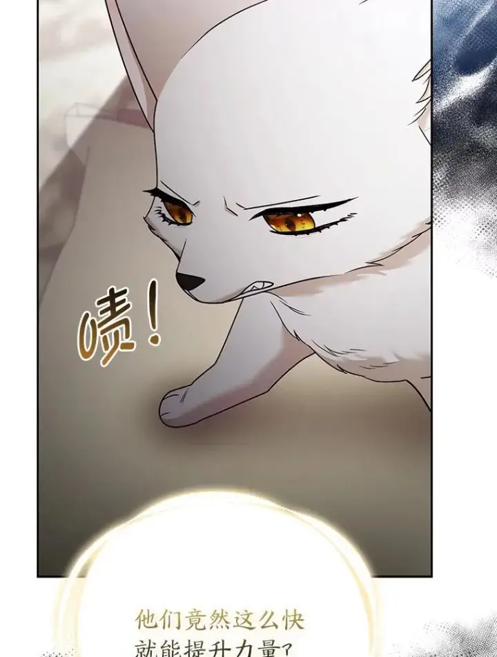 《大公家的狐狸皇女》31.魔法师会议图49