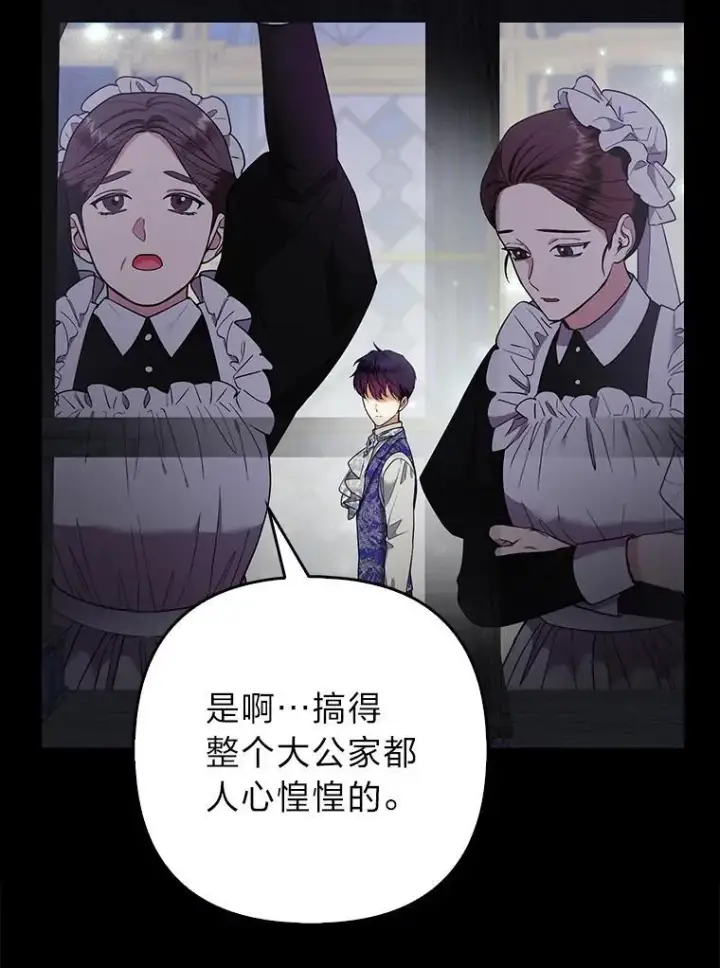 《大公家的狐狸皇女》31.魔法师会议图5