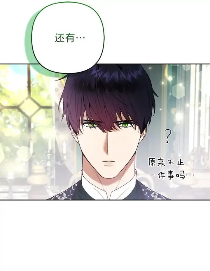 《大公家的狐狸皇女》31.魔法师会议图58