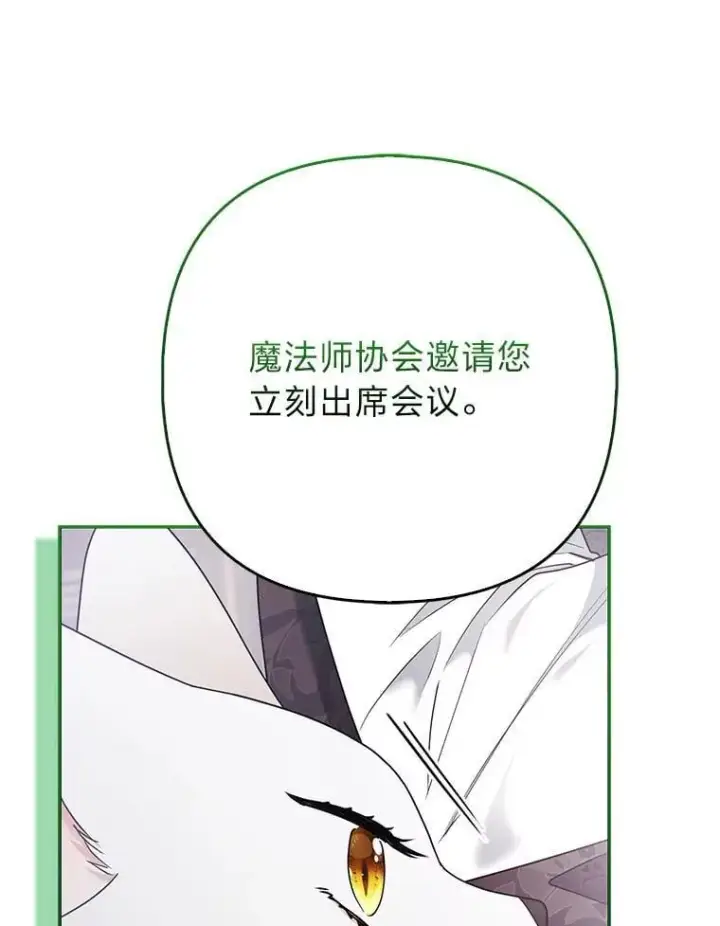 《大公家的狐狸皇女》31.魔法师会议图59