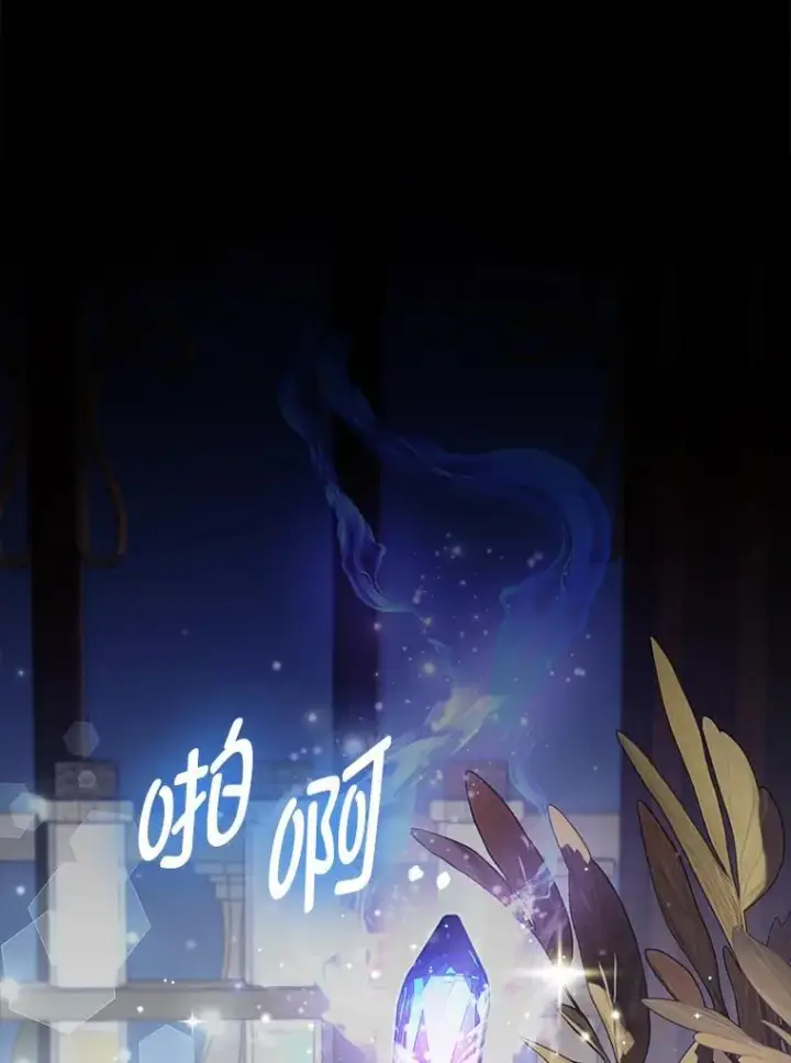 《大公家的狐狸皇女》31.魔法师会议图6