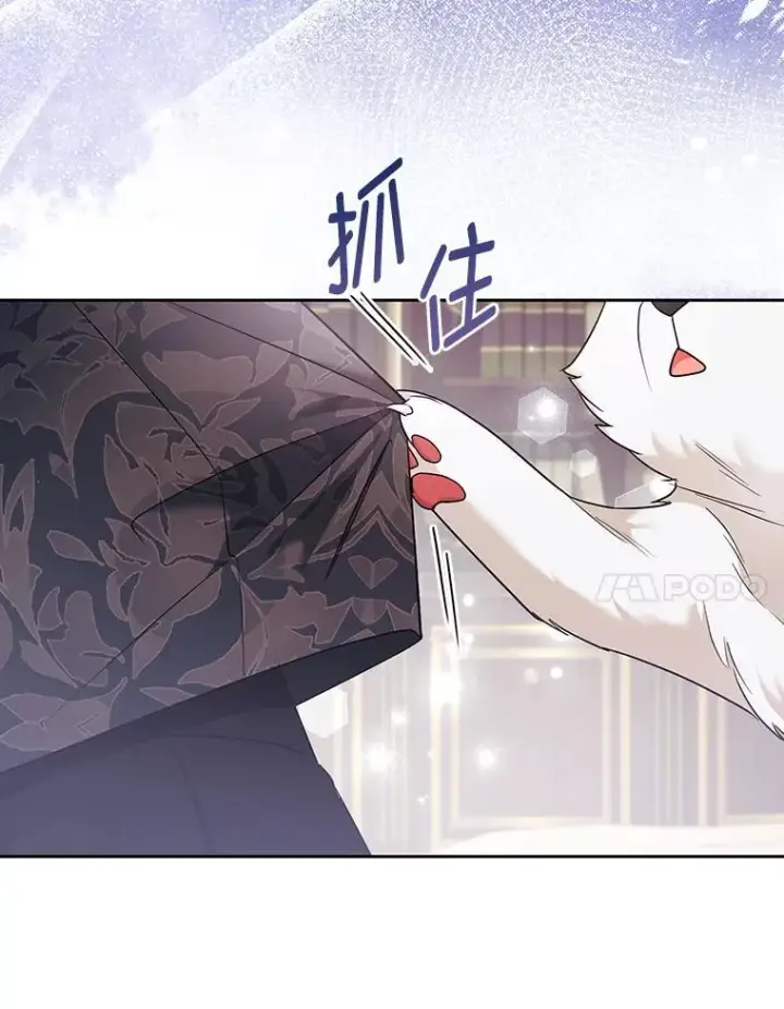 《大公家的狐狸皇女》31.魔法师会议图63