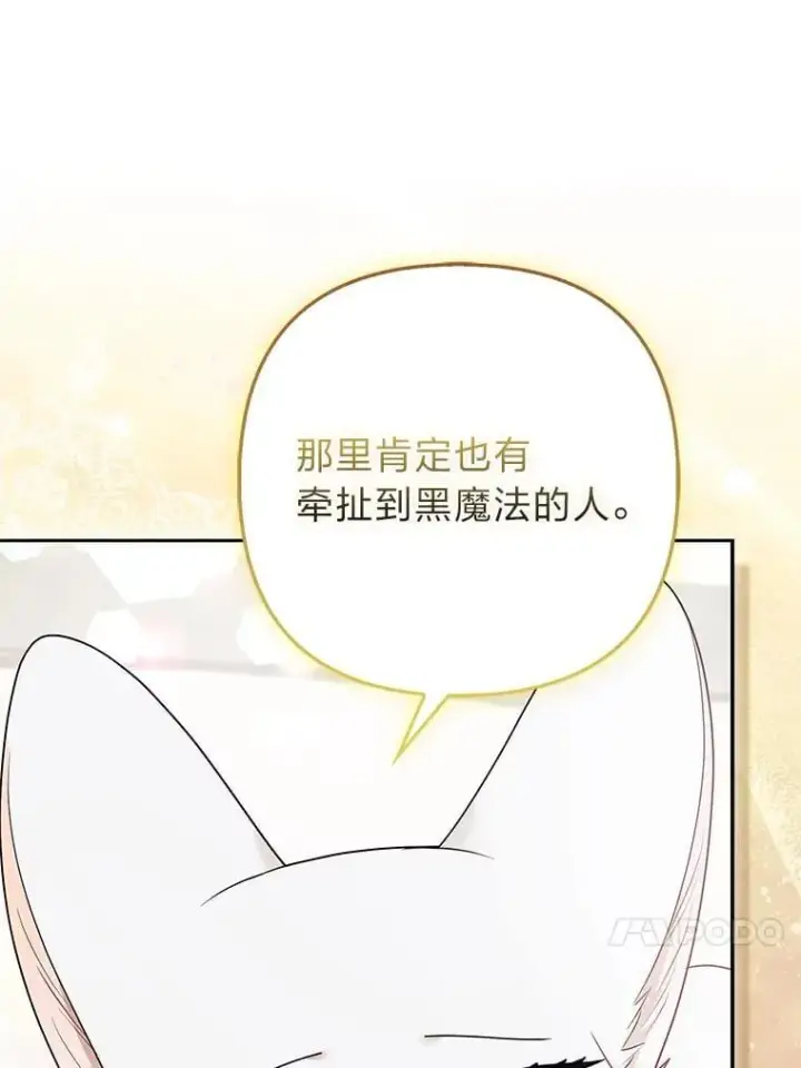 《大公家的狐狸皇女》31.魔法师会议图66