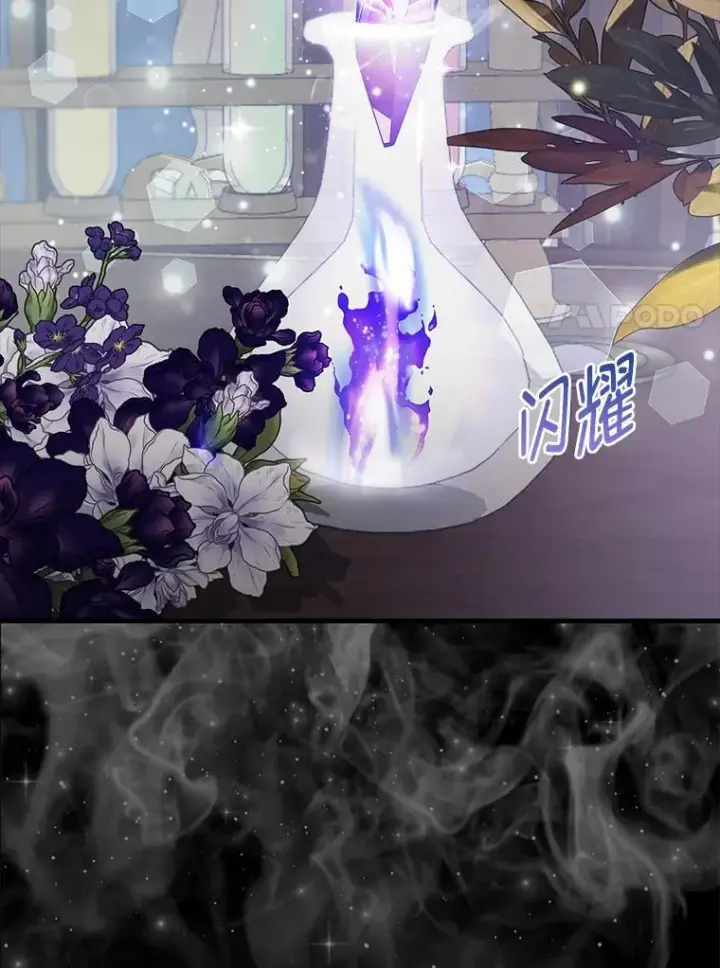 《大公家的狐狸皇女》31.魔法师会议图7