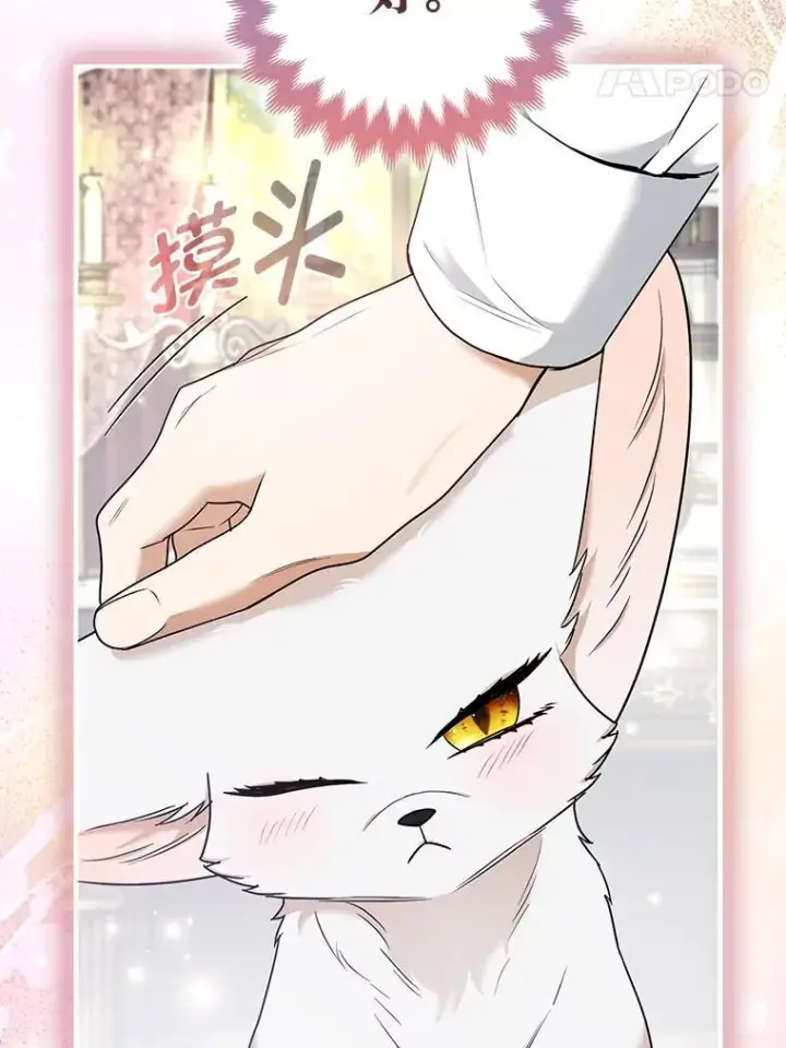 《大公家的狐狸皇女》31.魔法师会议图70