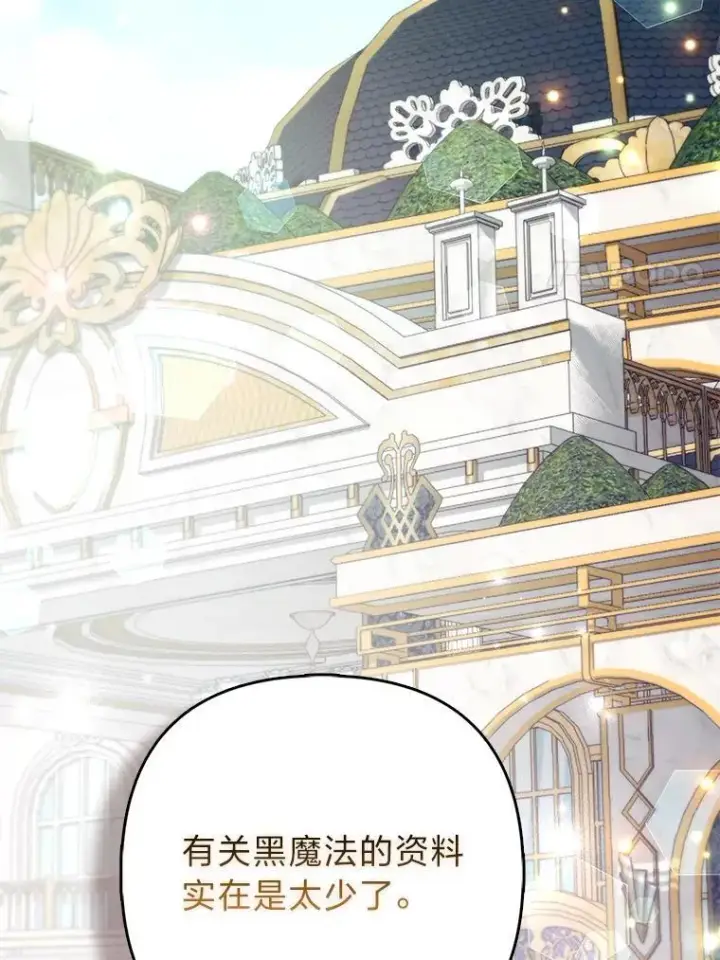 《大公家的狐狸皇女》31.魔法师会议图73
