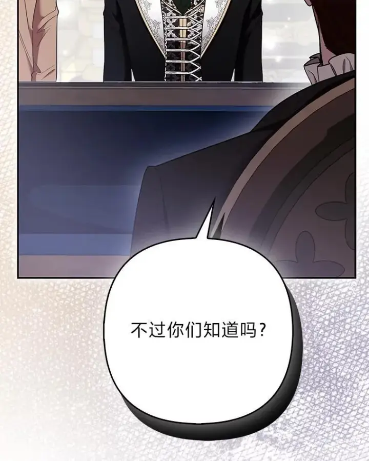 《大公家的狐狸皇女》31.魔法师会议图82
