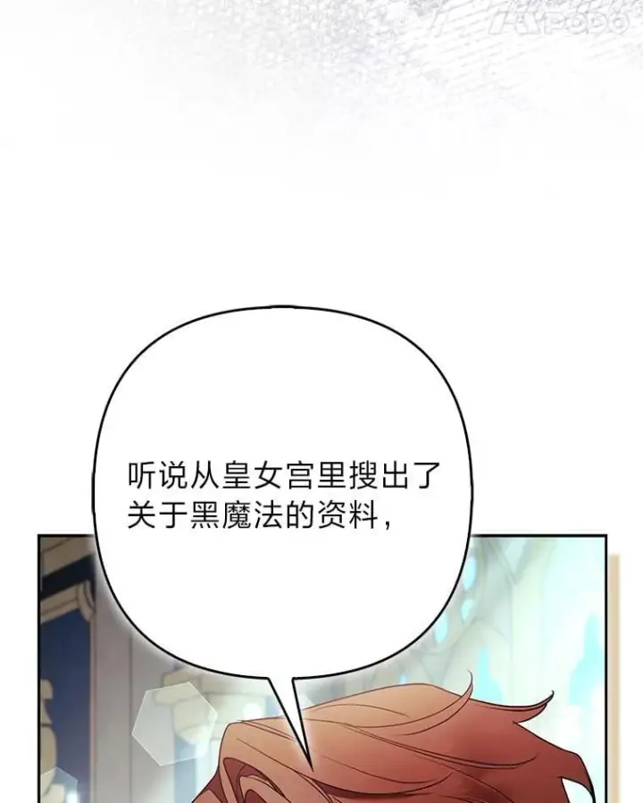 《大公家的狐狸皇女》31.魔法师会议图83