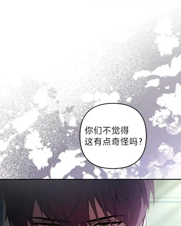 《大公家的狐狸皇女》31.魔法师会议图85