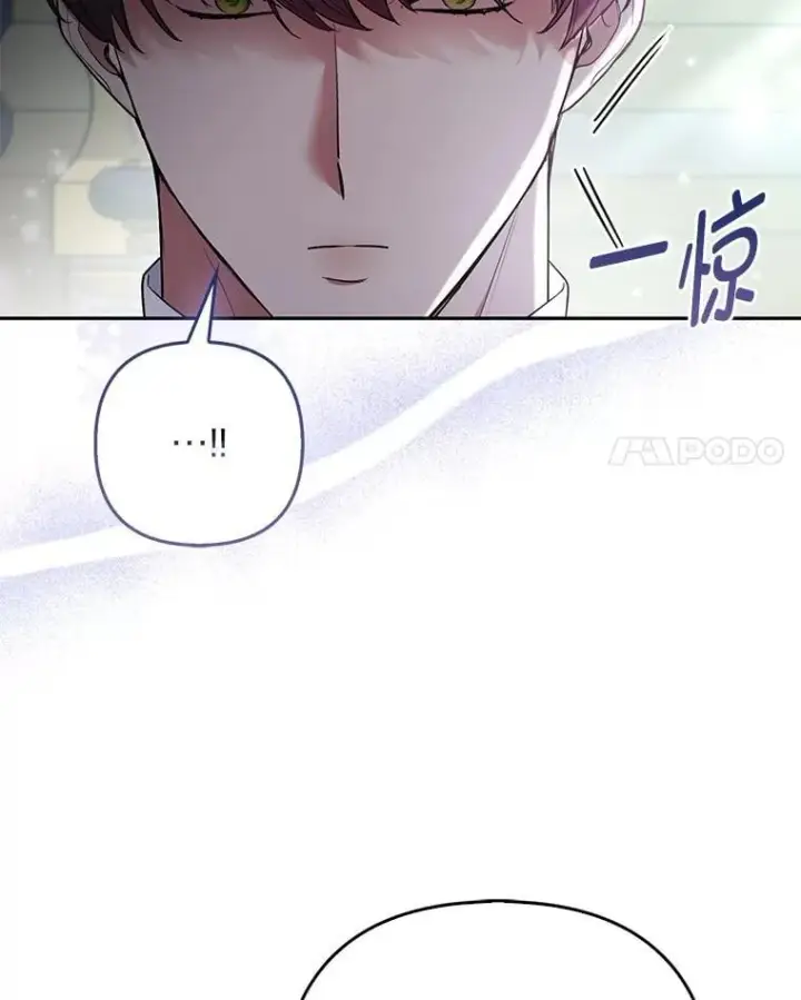 《大公家的狐狸皇女》31.魔法师会议图86
