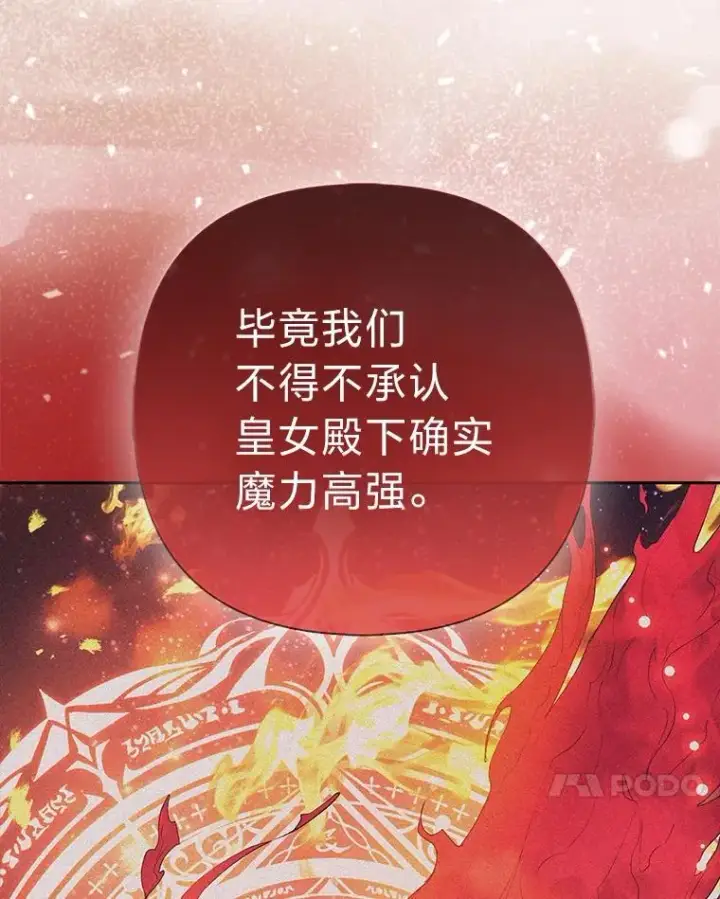 《大公家的狐狸皇女》31.魔法师会议图89