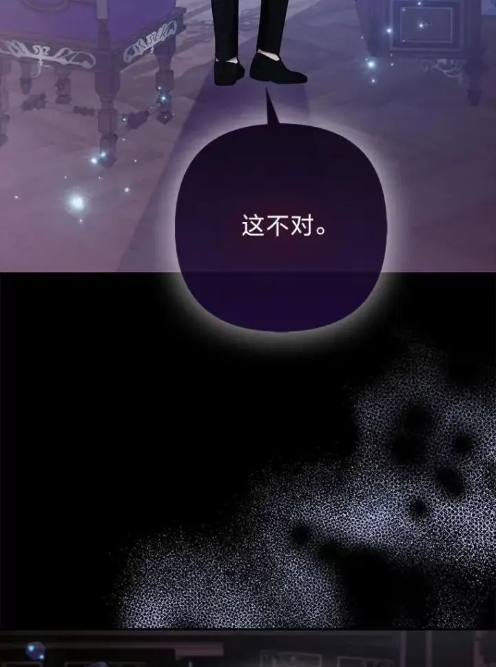 《大公家的狐狸皇女》31.魔法师会议图9