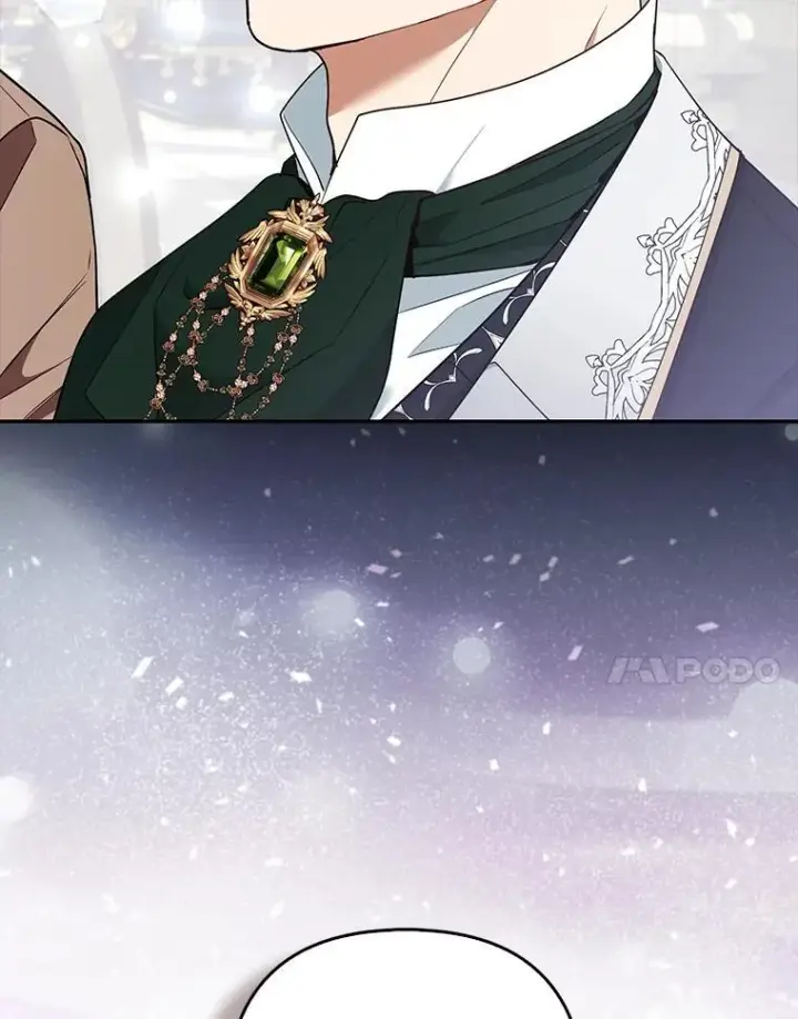 《大公家的狐狸皇女》31.魔法师会议图96
