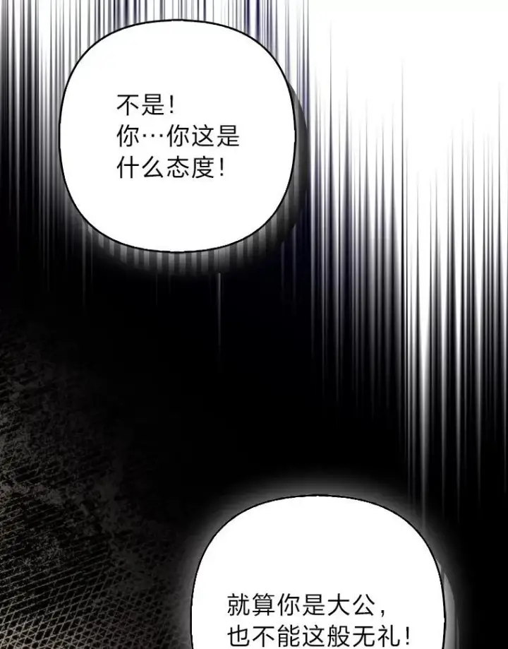 《大公家的狐狸皇女》31.魔法师会议图99