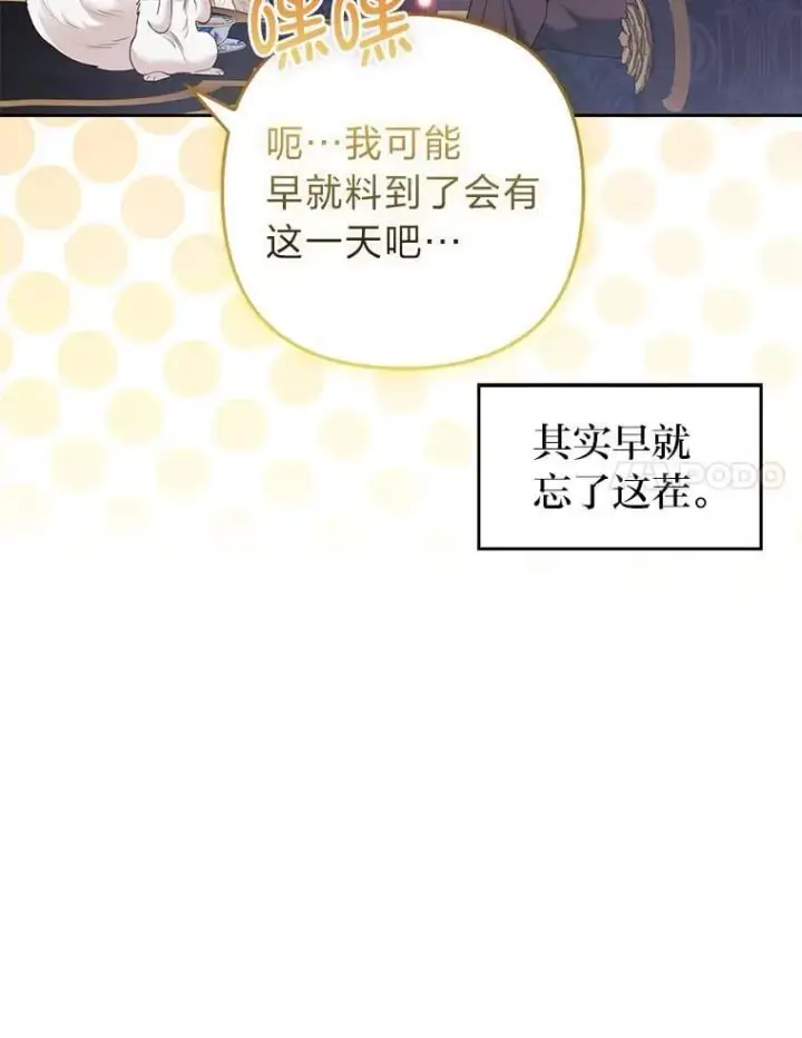 《大公家的狐狸皇女》33.不断逃避…图32