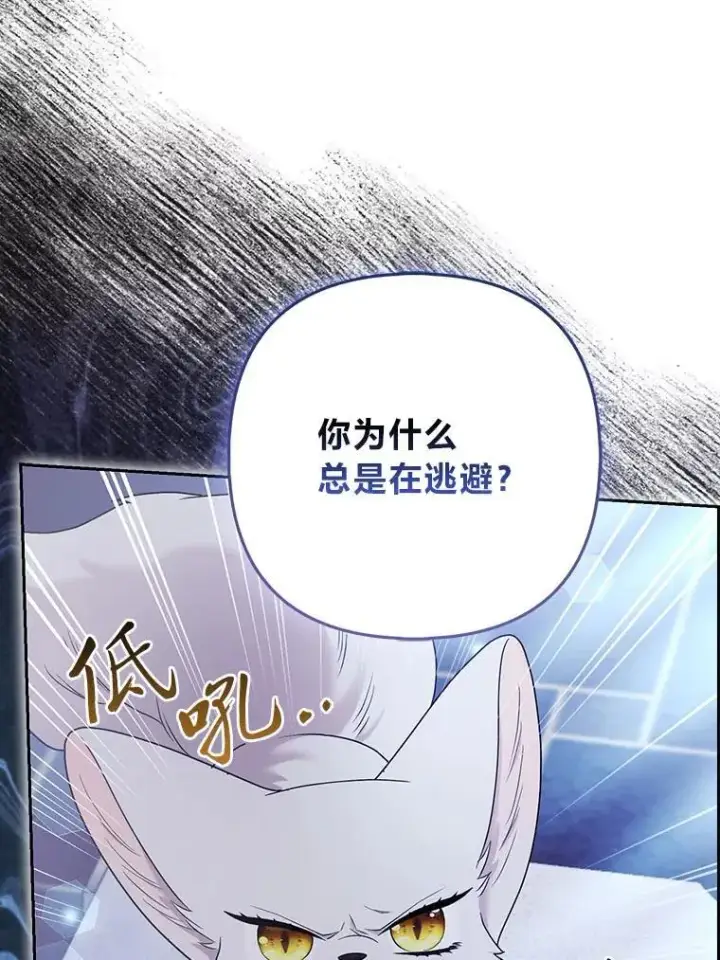 《大公家的狐狸皇女》33.不断逃避…图86