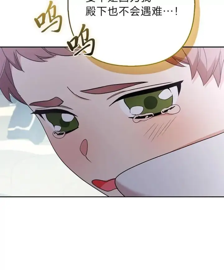 《大公家的狐狸皇女》34.唯一的证人图100