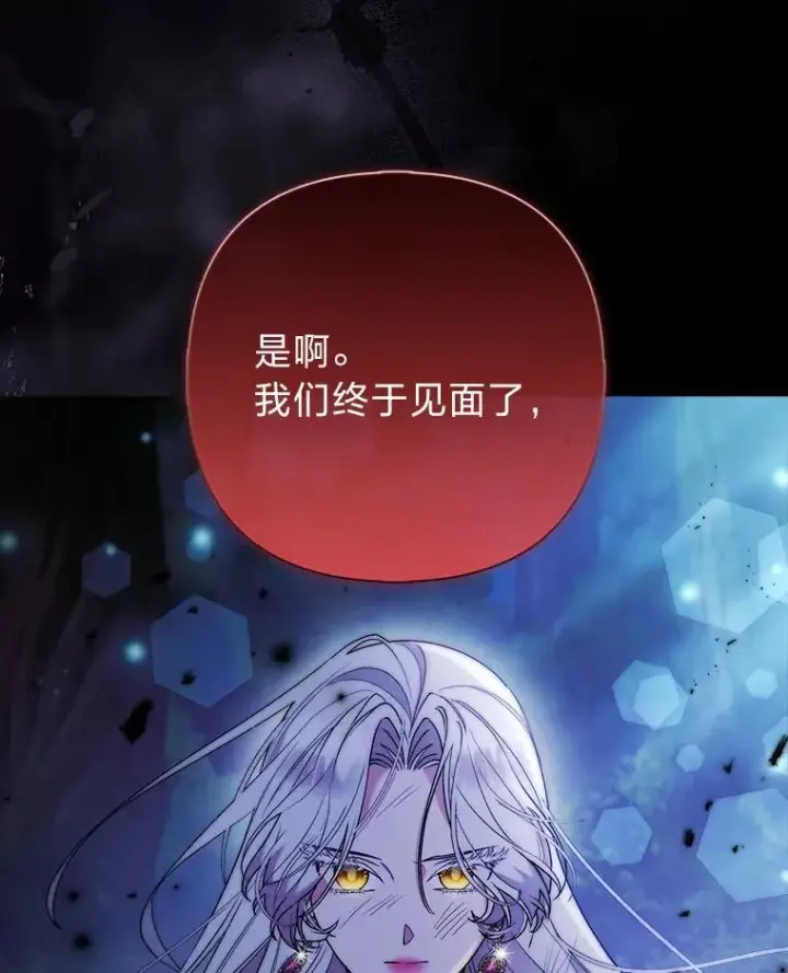 《大公家的狐狸皇女》34.唯一的证人图106