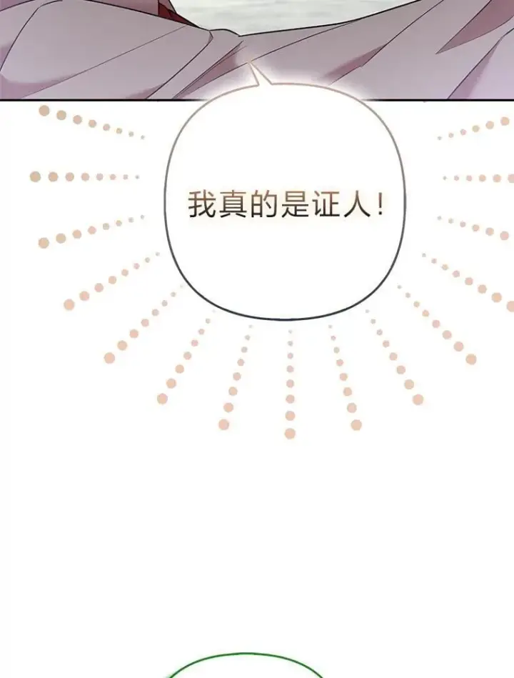 《大公家的狐狸皇女》34.唯一的证人图29