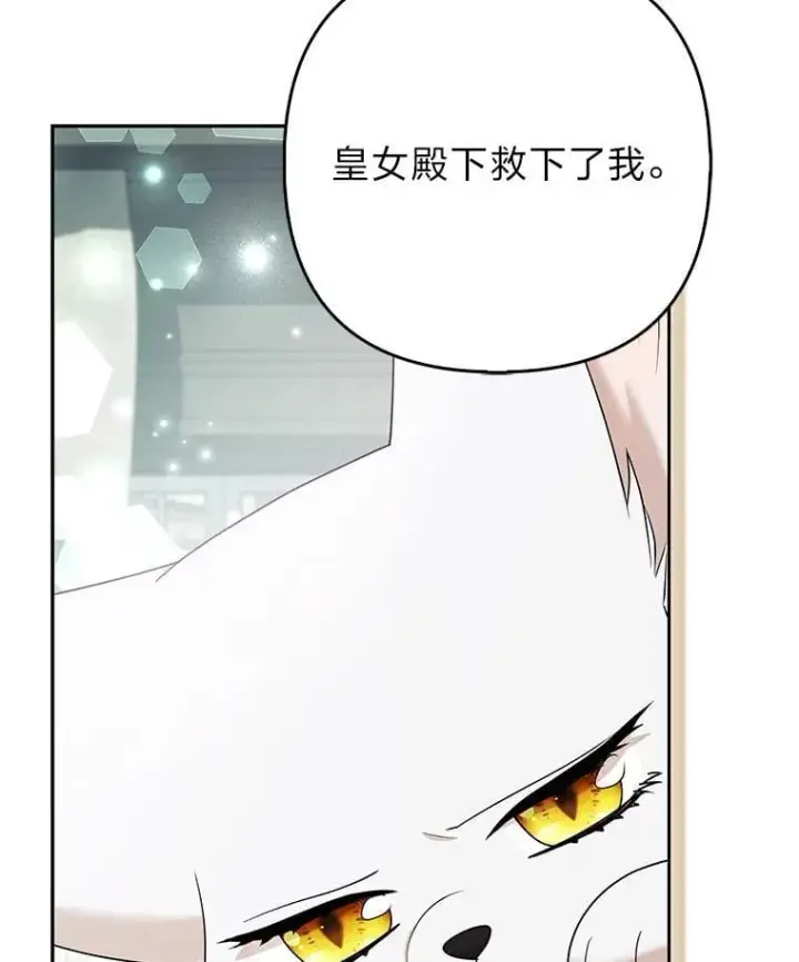《大公家的狐狸皇女》34.唯一的证人图98